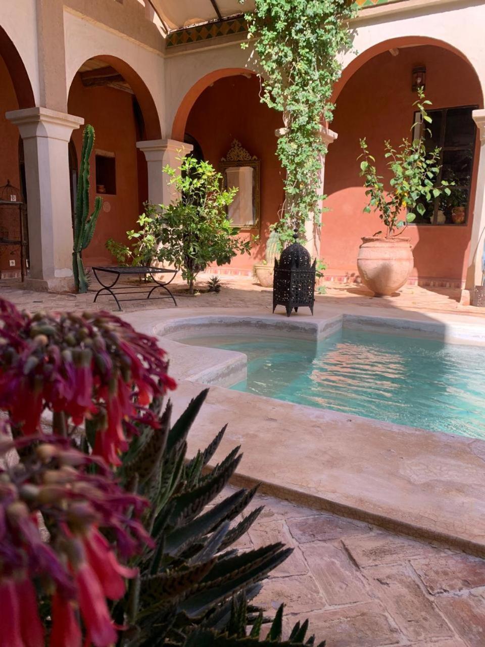 Riad Chant D'Etoiles Tadighoust El Hara Exterior photo